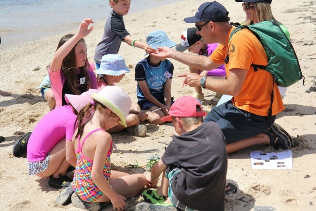 summer by the sea, indented head, bellarine catchment network, outdoor education