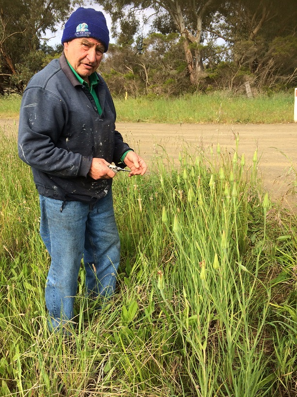 john fyfe, bellarine catchment network, secretary BCN