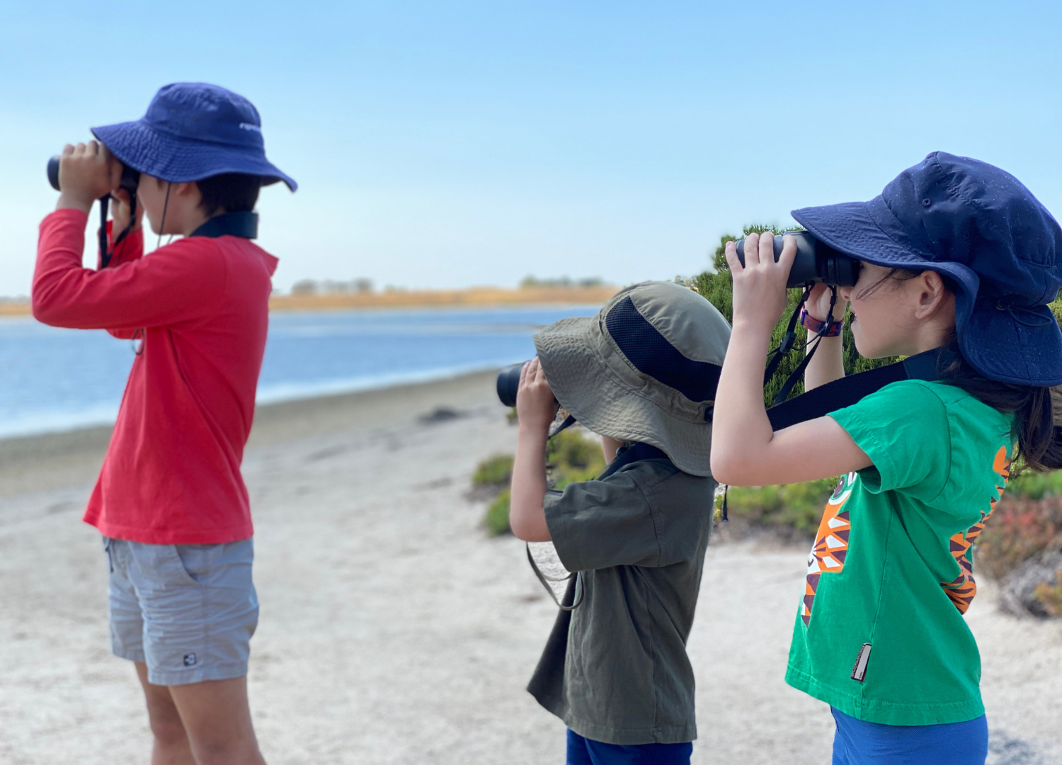 BGEVC calendar thumbnail