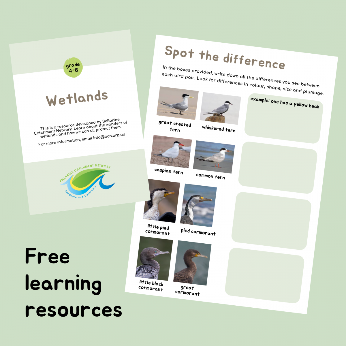wetland learning pack