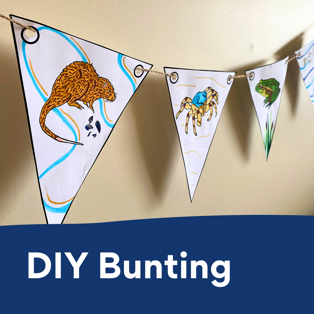 DIY bunting