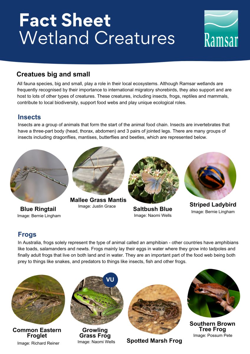 ramsar fact sheet wetland creatures