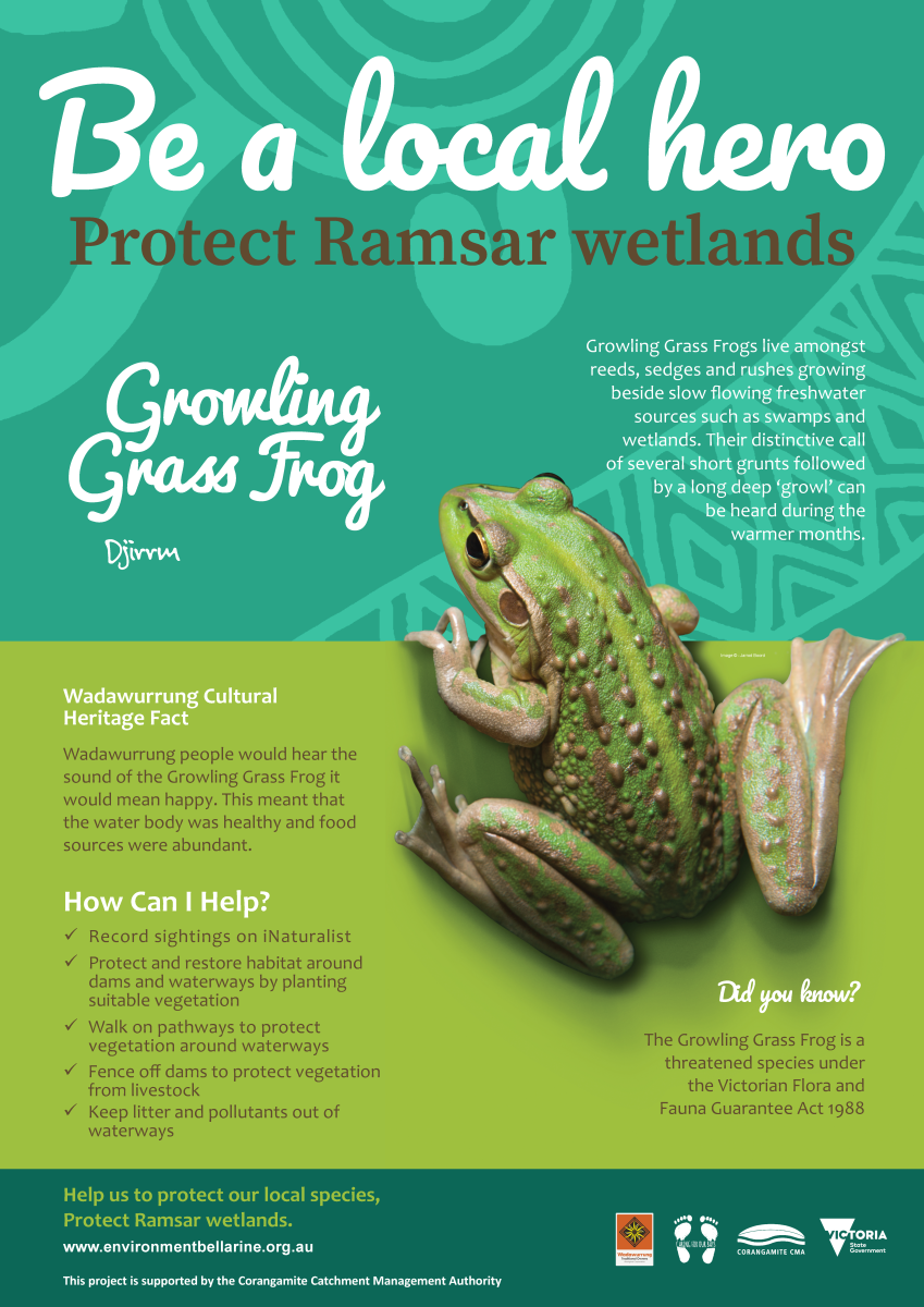 growling grass frog ramsar poster