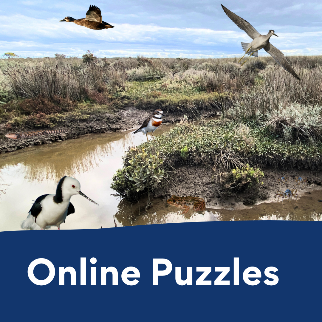 online puzzles