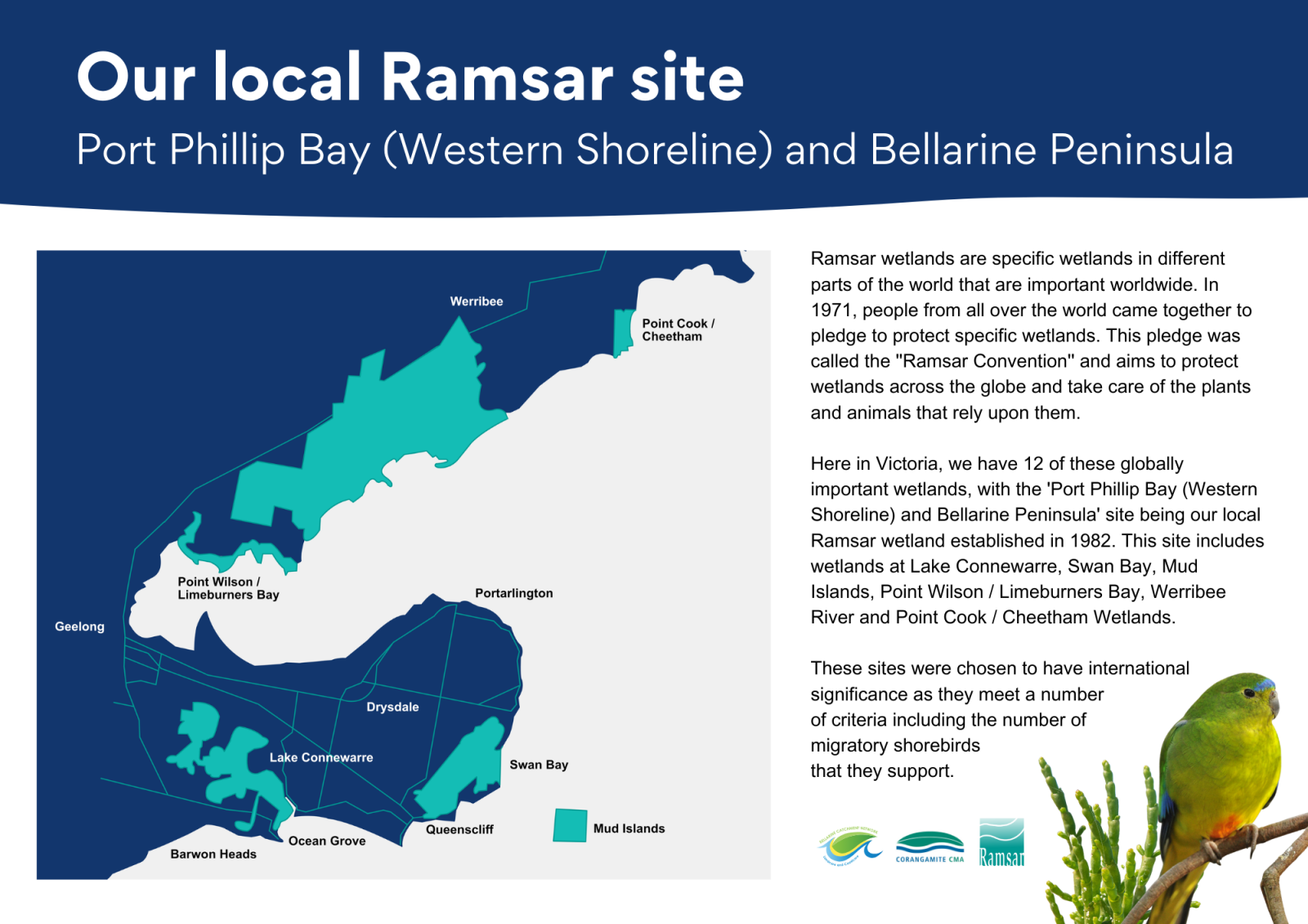 poster - our local ramsar site