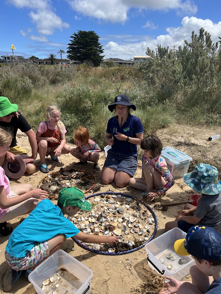 beachcomb at st leos