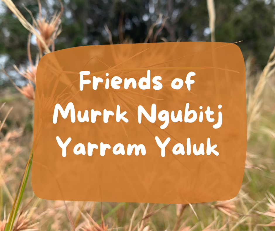 New 'Friends of Murrk Ngubitj Yarram Yaluk'