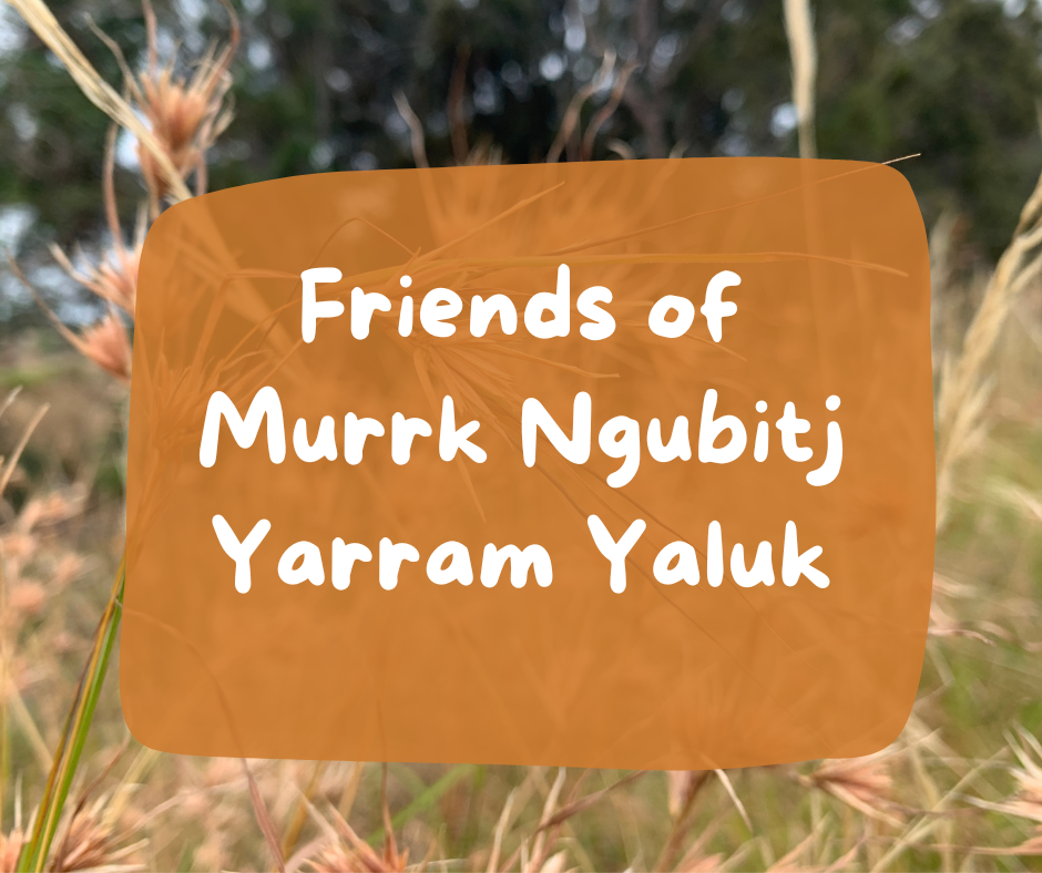 friends of murrk ngubitj yarram yaluk