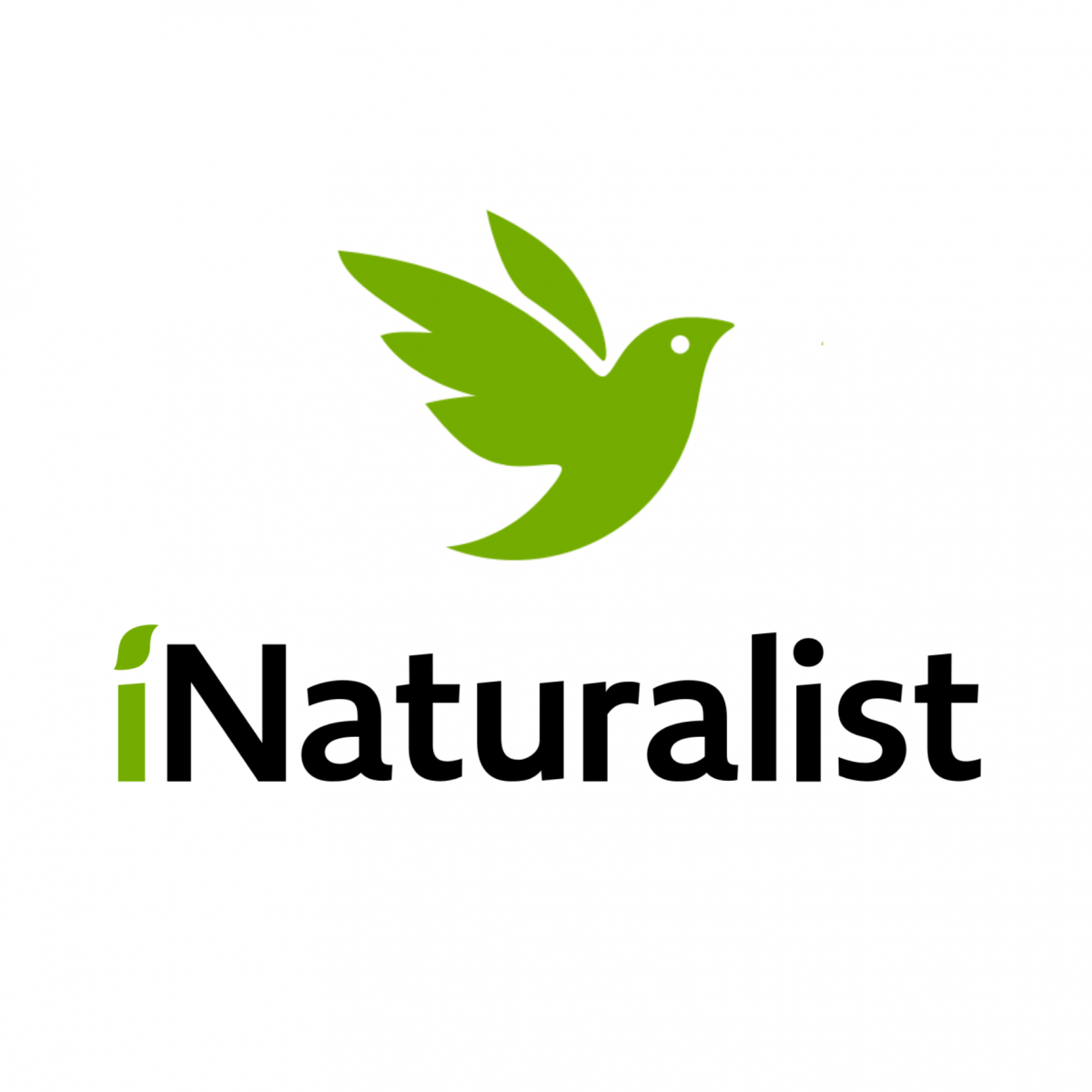 inaturalist app