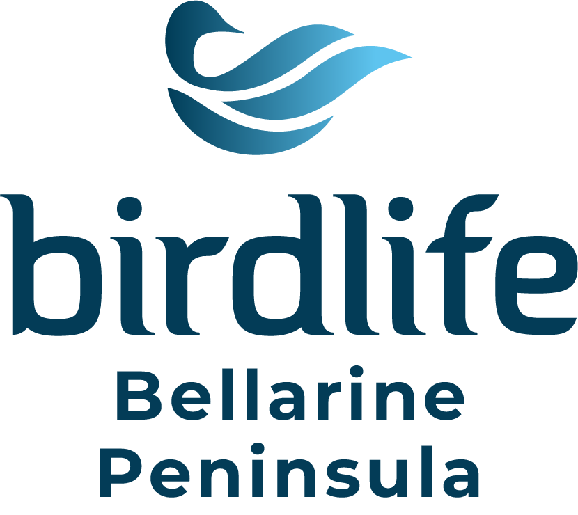 birdlife bellarine