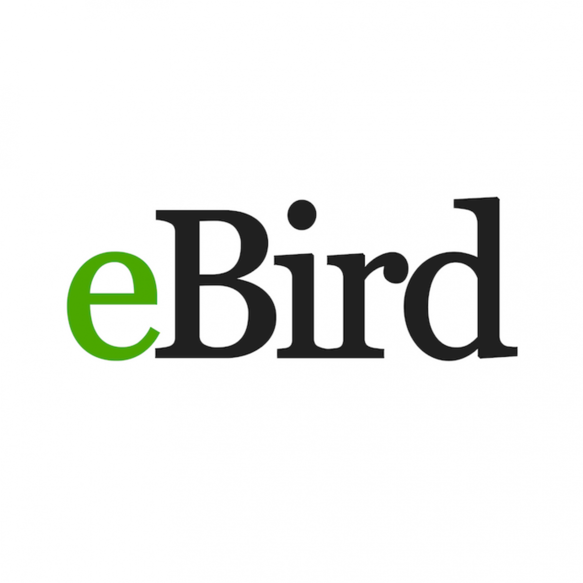 ebird app